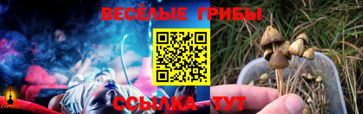 Городец  Псилоцибиновые грибы прущие грибы  Вход с VPN 